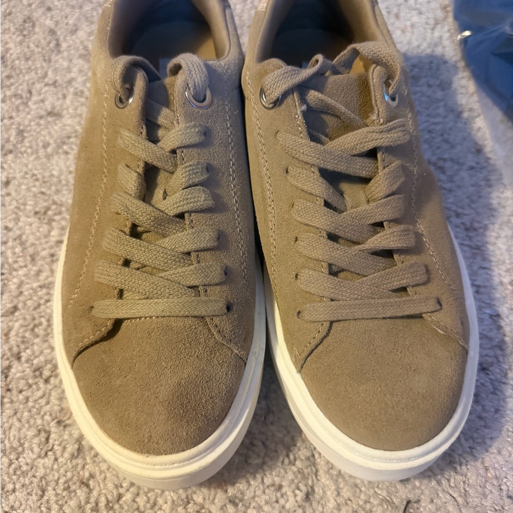 Steve Madden Charlie Sneaker in Taupe Suede featuring snakeskin print on heel.